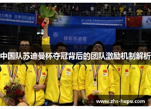 中国队苏迪曼杯夺冠背后的团队激励机制解析