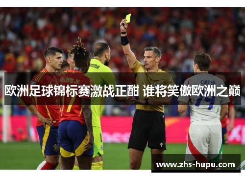 欧洲足球锦标赛激战正酣 谁将笑傲欧洲之巅