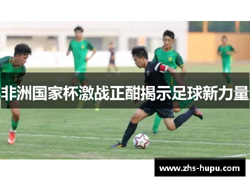 非洲国家杯激战正酣揭示足球新力量