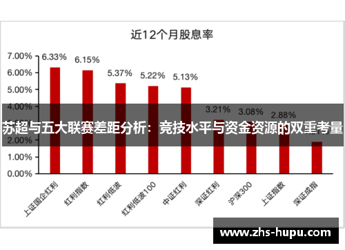 苏超与五大联赛差距分析：竞技水平与资金资源的双重考量